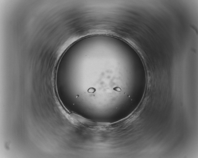 X0000101981438200807251224