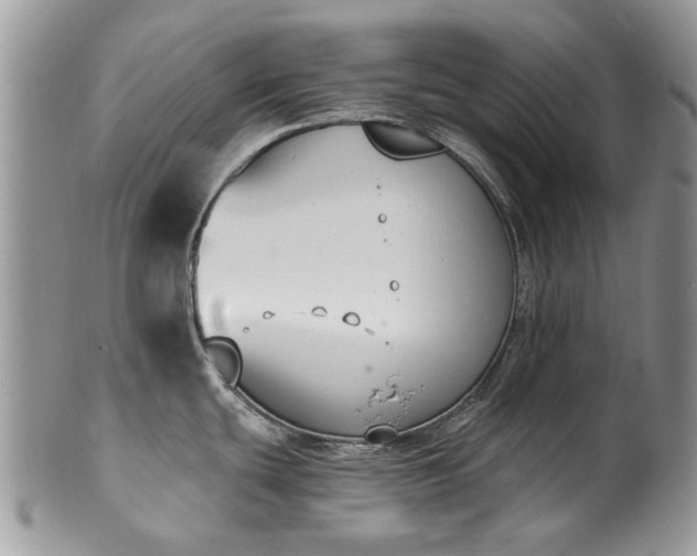 X0000101981439200807251224