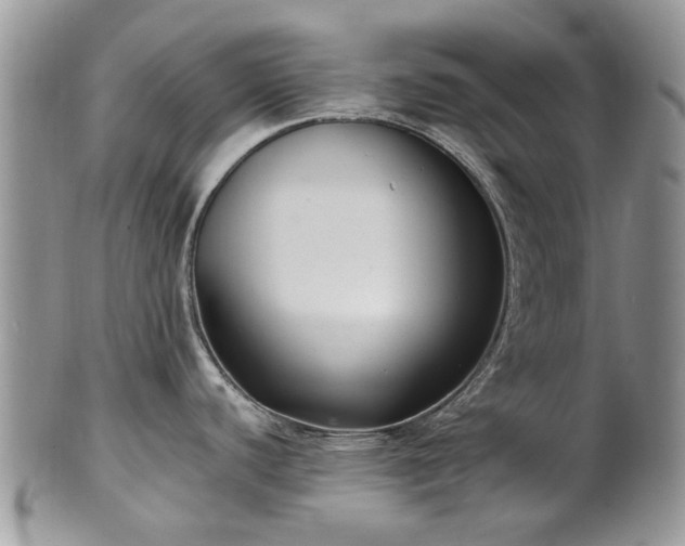 X0000101981440200807251224