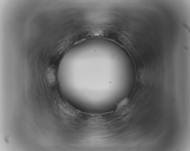 X0000101981442200807251223