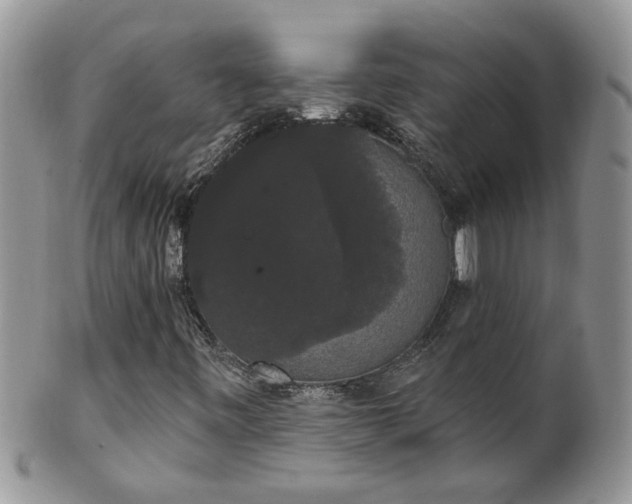 X0000101981443200807251223