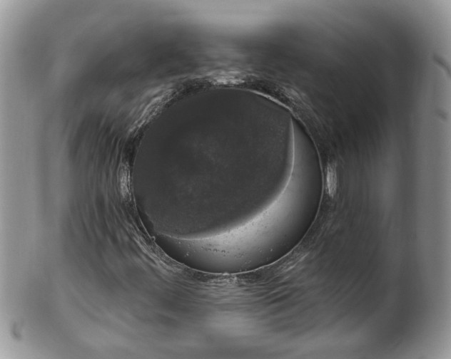 X0000101981444200807251223