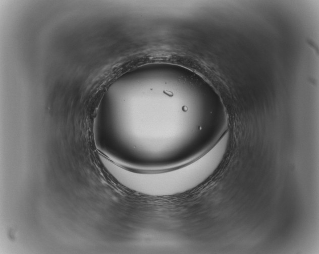 X0000101981445200807251223