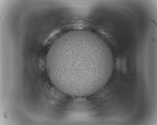 X0000101981446200807251223