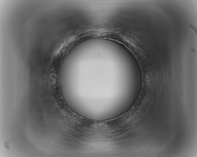 X0000101981447200807251223