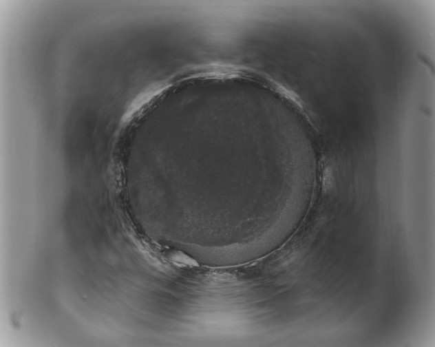 X0000101981448200807251223