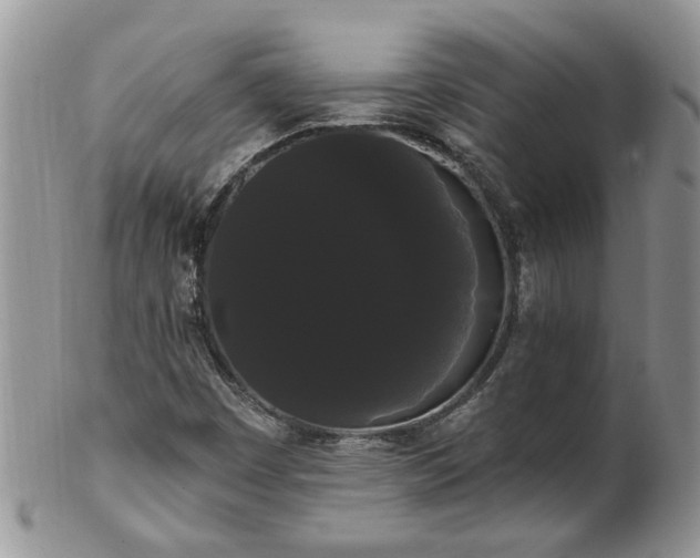 X0000101981449200807251223