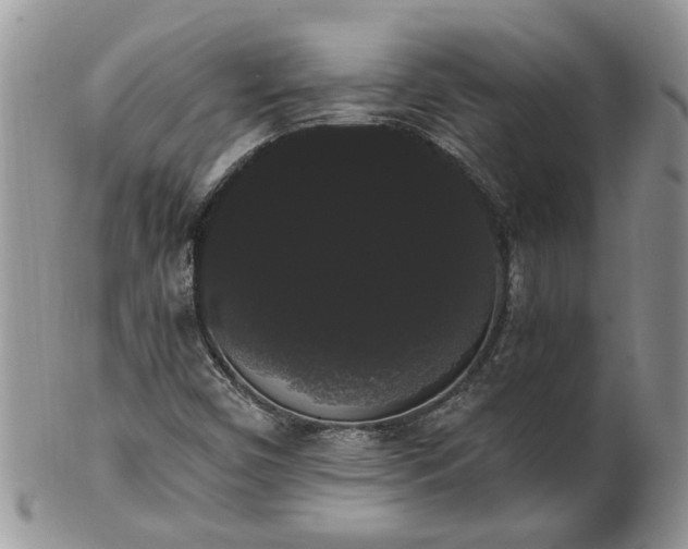 X0000101981450200807251223