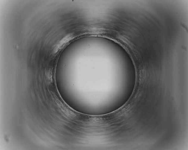 X0000101981451200807251223