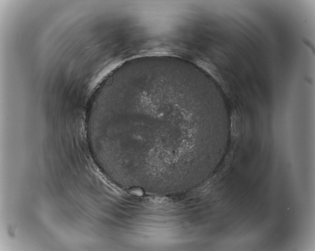 X0000101981452200807251223