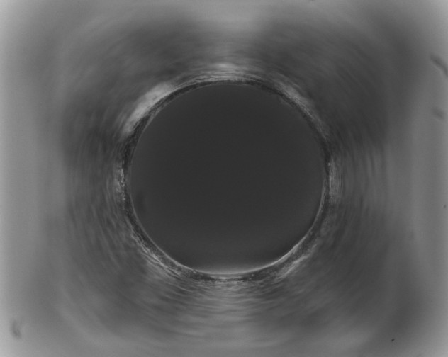 X0000101981453200807251223