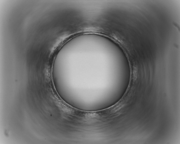 X0000101981454200807251223