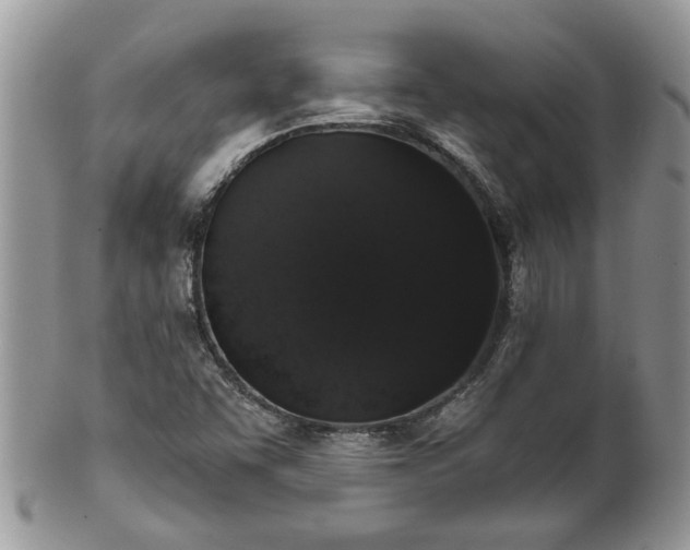 X0000101981455200807251223