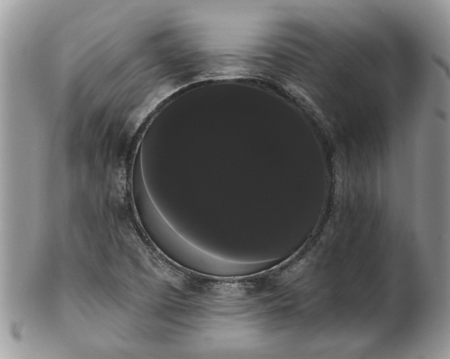 X0000101981457200807251223