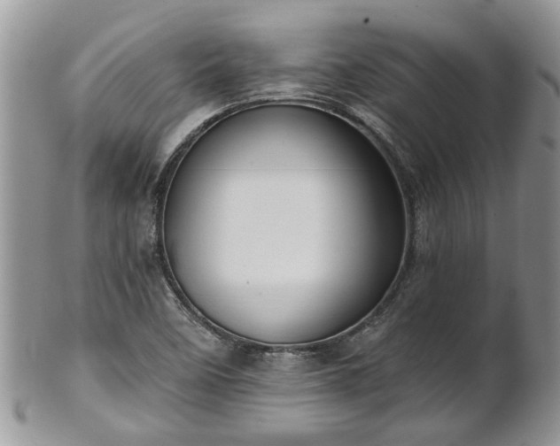 X0000101981458200807251223