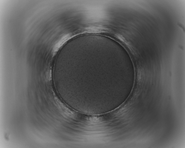 X0000101981459200807251223