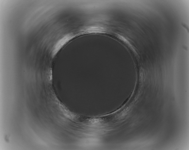 X0000101981461200807251222