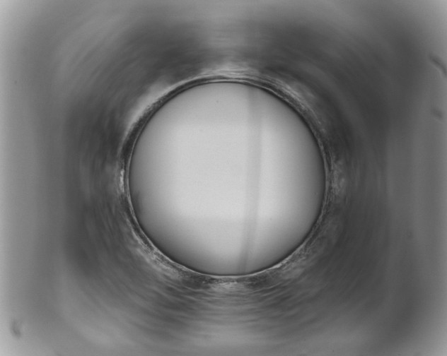 X0000101981462200807251222