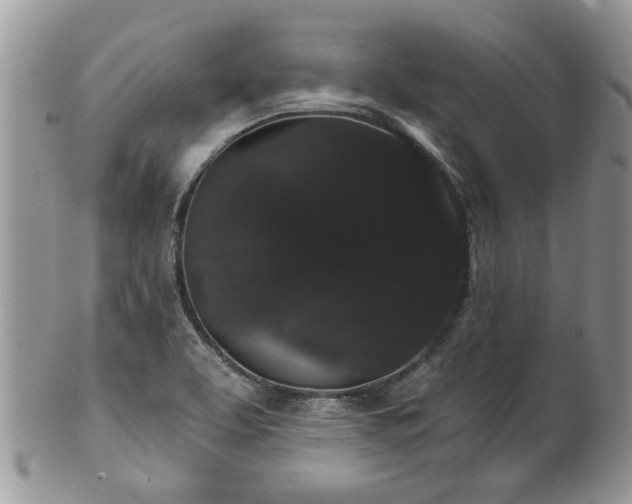 X0000101981463200807251222