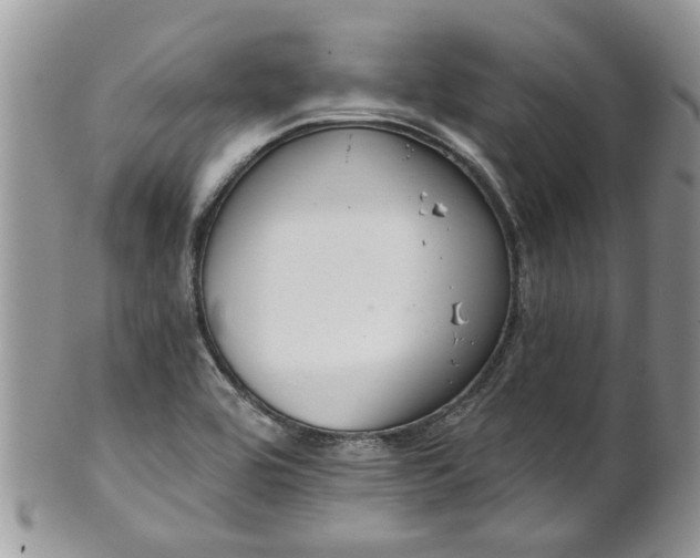 X0000101981464200807251222