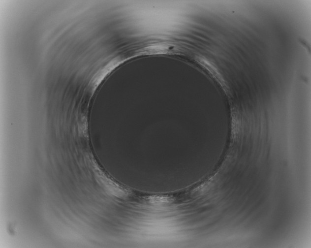 X0000101981465200807251222