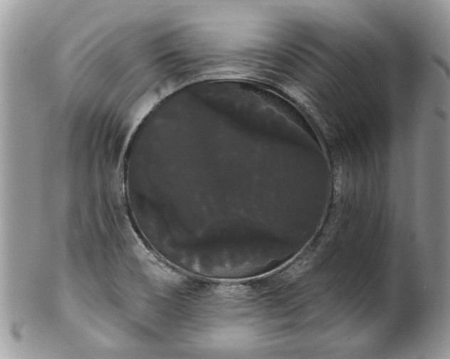 X0000101981466200807251222