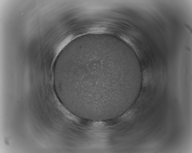 X0000101981467200807251222