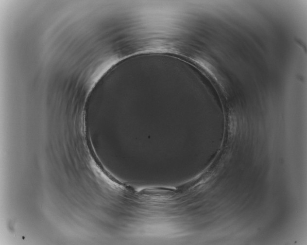 X0000101981468200807251222