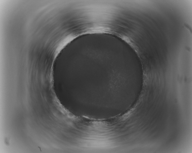 X0000101981469200807251222