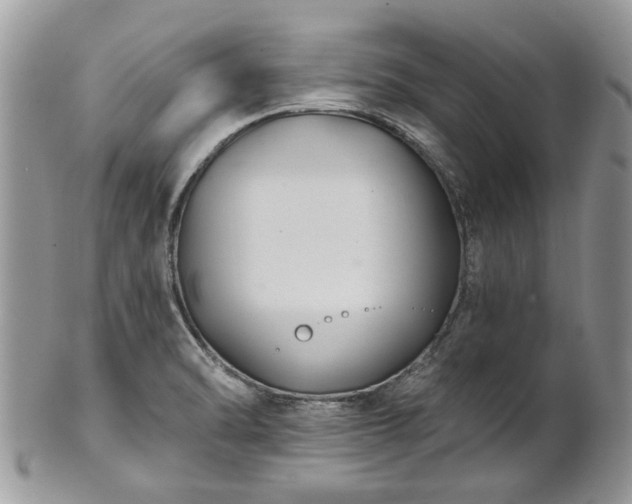 X0000101981470200807251222