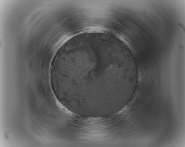 X0000101981471200807251222