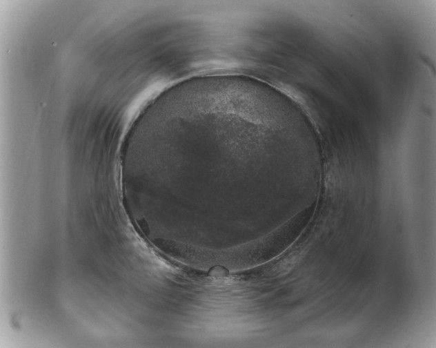 X0000101981472200807251222