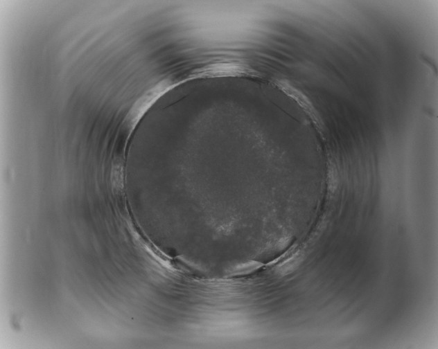 X0000101981473200807251222