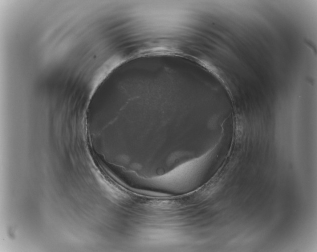 X0000101981474200807251222