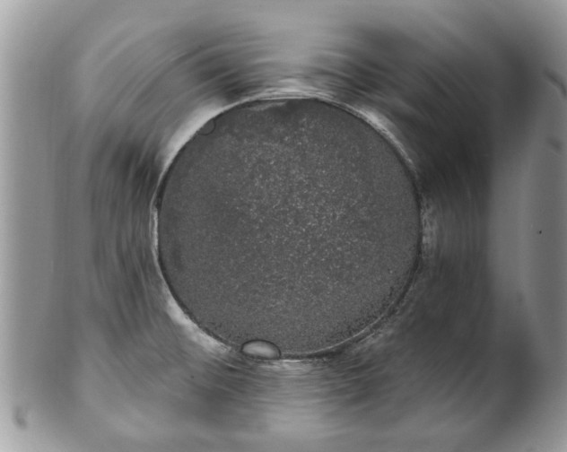 X0000101981476200807251222