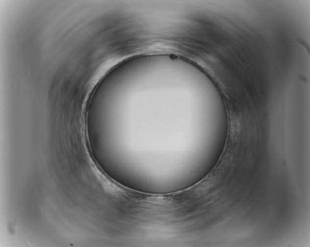 X0000101981478200807251222