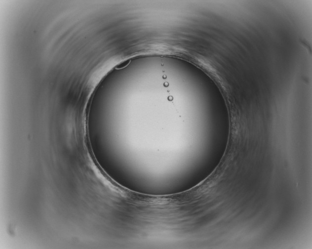 X0000101981479200807251222