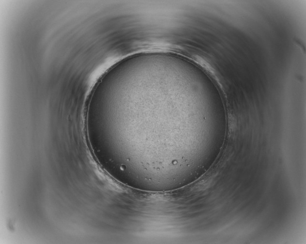 X0000101981480200807251222