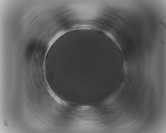 X0000101981482200807251222