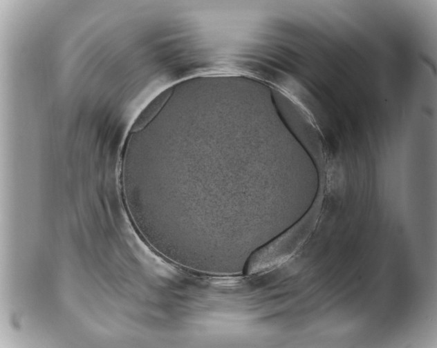 X0000101981484200807251222