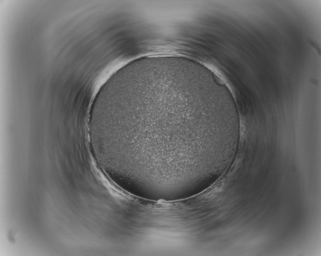 X0000101981485200807251222