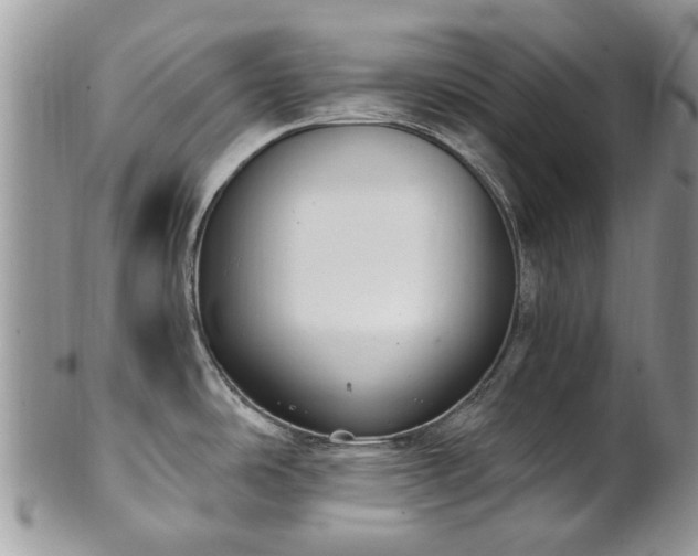 X0000101981486200807251222