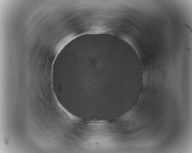 X0000101981487200807251222