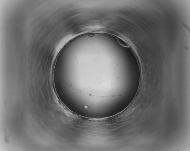 X0000101981488200807251222