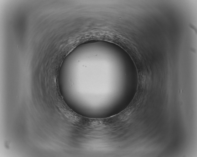 X0000101981489200807251221