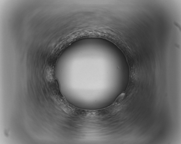 X0000101981490200807251221