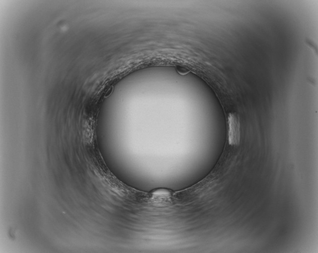 X0000101981491200807251221