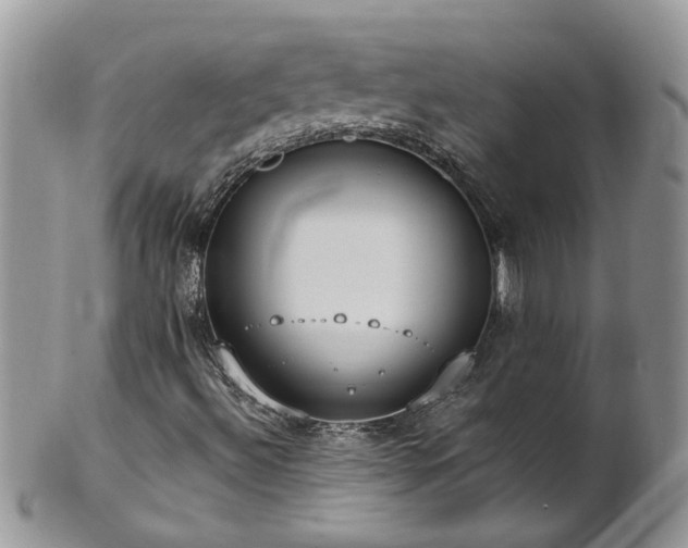 X0000101981492200807251221