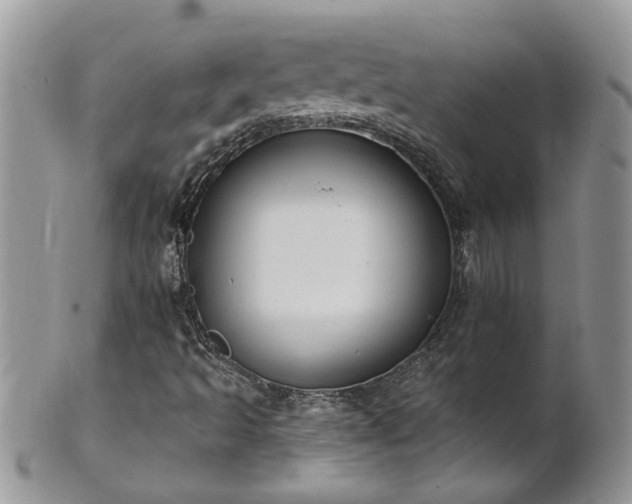 X0000101981493200807251221