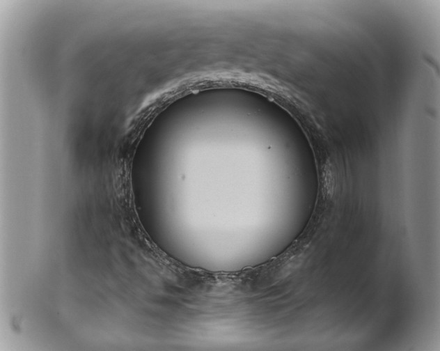 X0000101981494200807251221